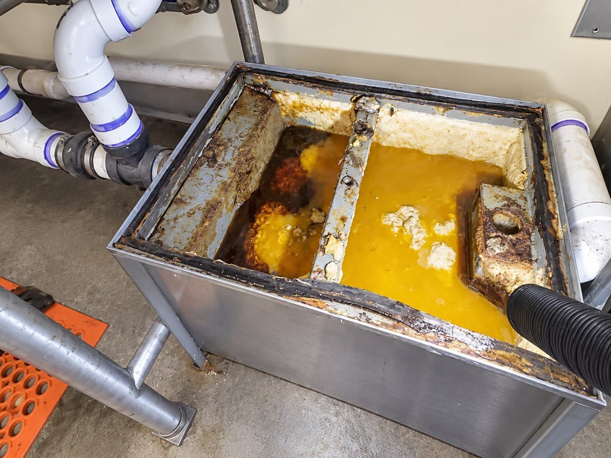 Trampa de grasa antes del servicio